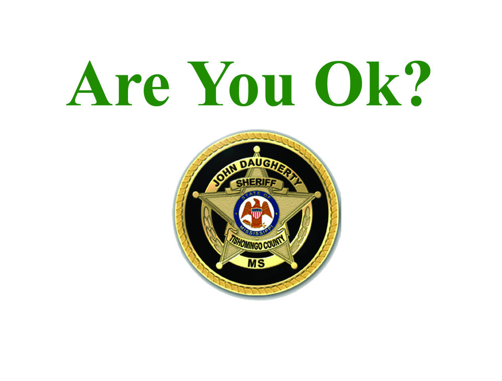 Are You Ok Banner 2.jpg