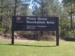 pineygrove SIGN.jpeg